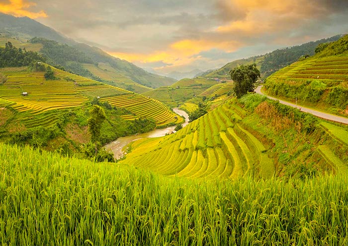 Philippines Banaue Rice Terraces Tours