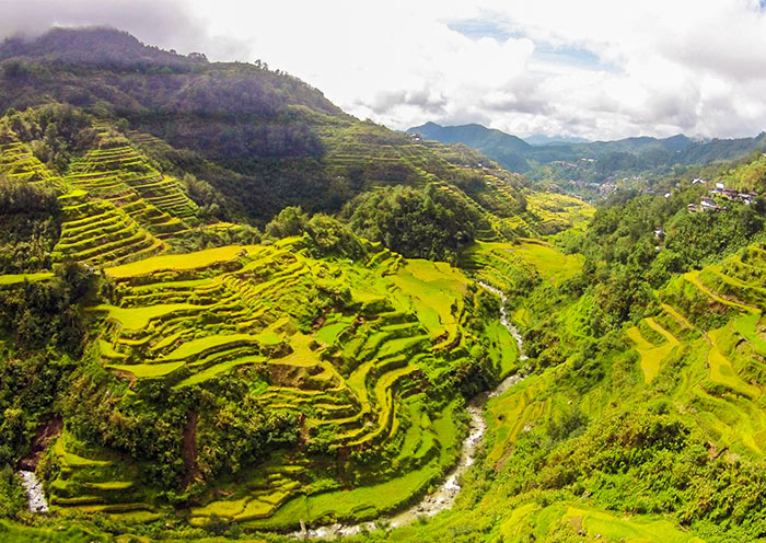 Banaue Rice Terraces