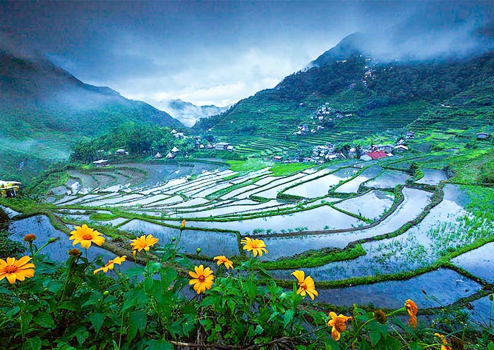 Banaue Rice Terraces 