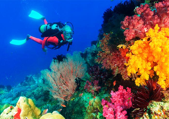 Underwater world at Lusong Coral Garden 