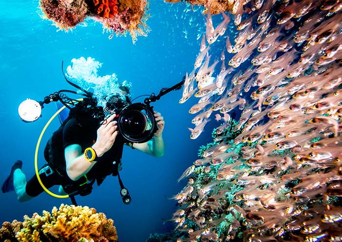 Lusong Coral Garden, Coron