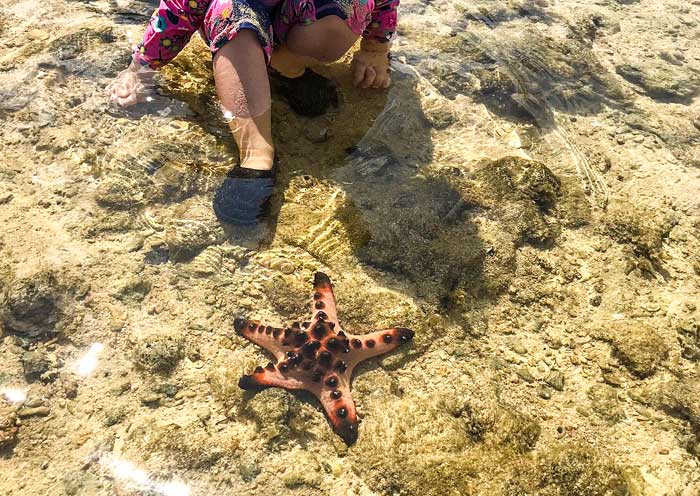 Starfish Island